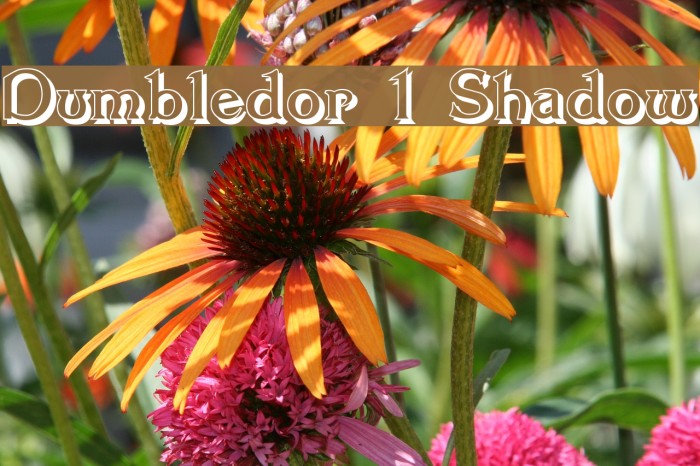 Dumbledor 1 Shadow Font examples