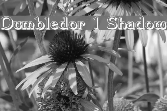 Dumbledor 1 Shadow Example 1