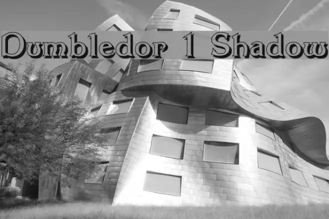 Dumbledor 1 Shadow Example 2