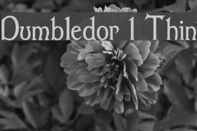 Dumbledor 1 Thin Fuentes examples