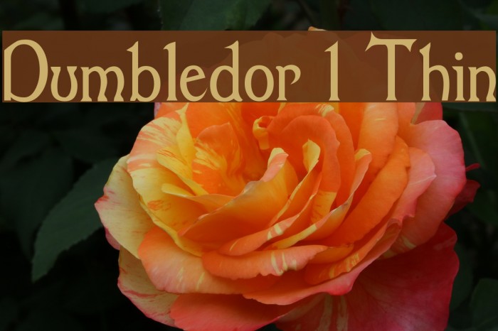 Dumbledor 1 Thin Font examples