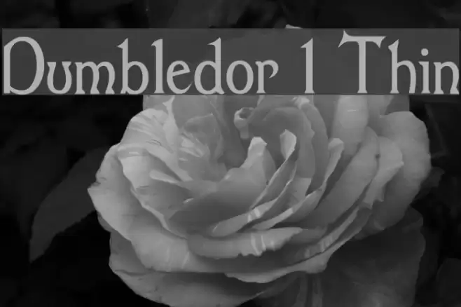 Dumbledor 1 Thin Fuentes examples