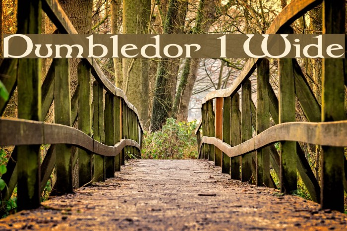 Dumbledor 1 Wide Fuentes examples