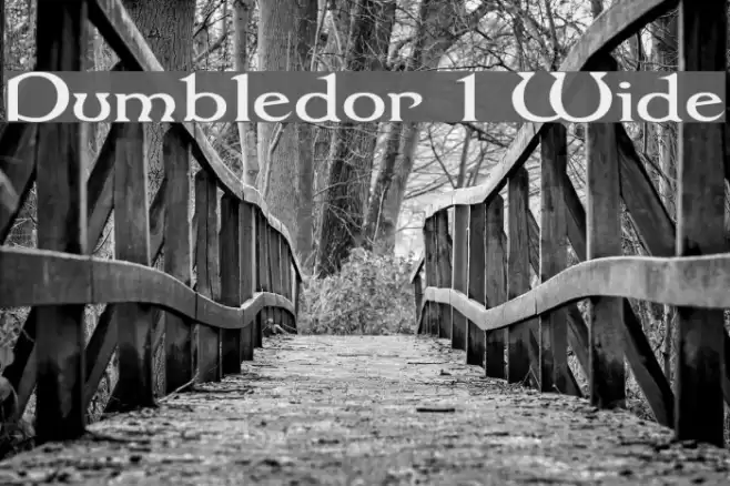 Dumbledor 1 Wide Fuentes examples