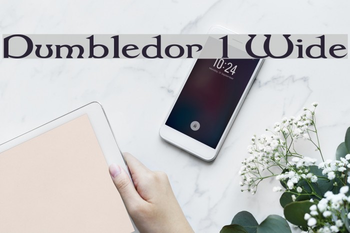 Dumbledor 1 Wide Fuentes examples