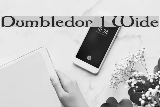 Dumbledor 1 Wide Fuentes examples