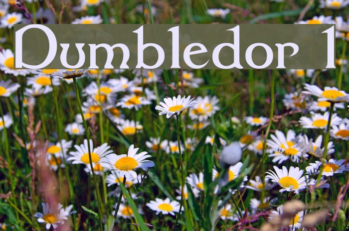 Dumbledor 1 Font examples