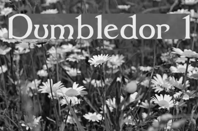 Dumbledor 1 Example 2