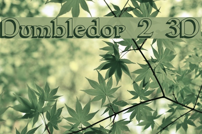 Dumbledor 2 3D Font examples