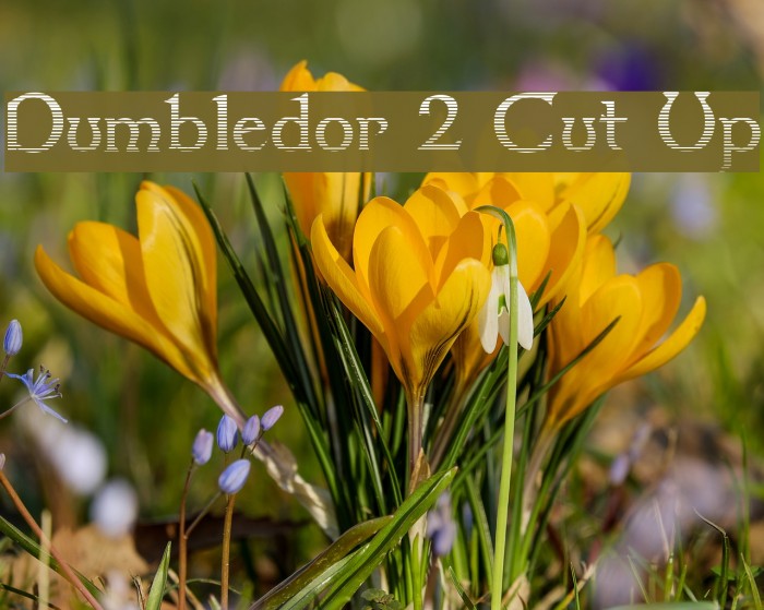 Dumbledor 2 Cut Up Font examples