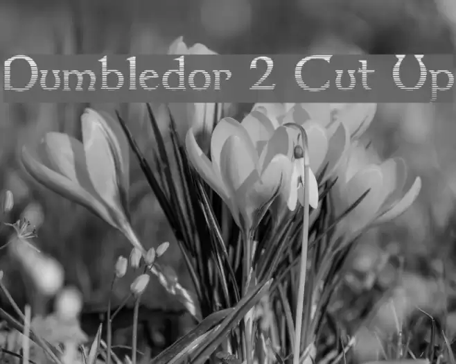 Dumbledor 2 Cut Up Font examples