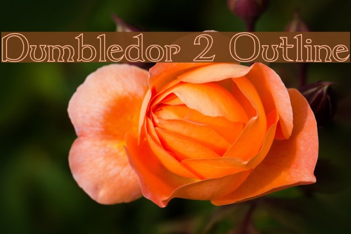 Dumbledor 2 Outline Fuentes examples