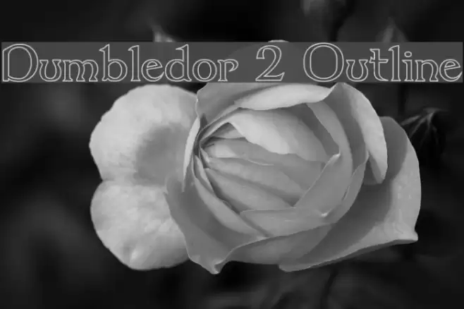 Dumbledor 2 Outline Fuentes examples