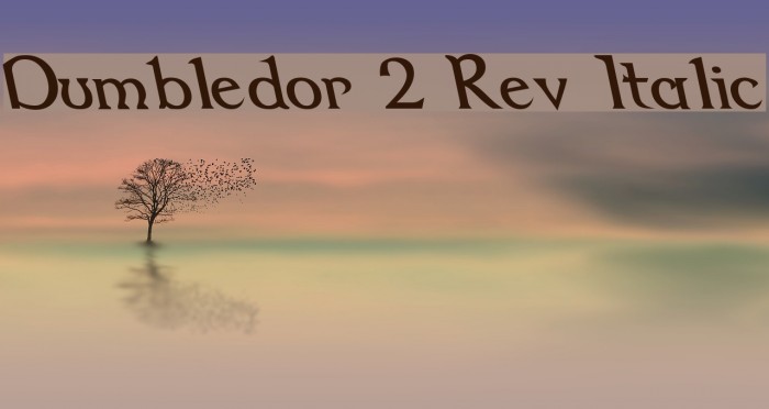 Dumbledor 2 Rev Italic Font examples