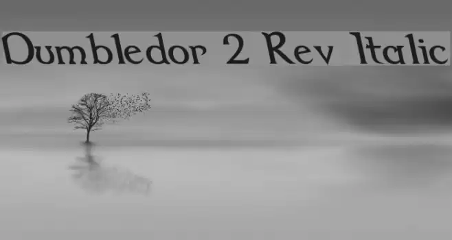 Dumbledor 2 Rev Italic Font examples
