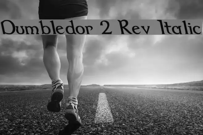 Dumbledor 2 Rev Italic Font examples