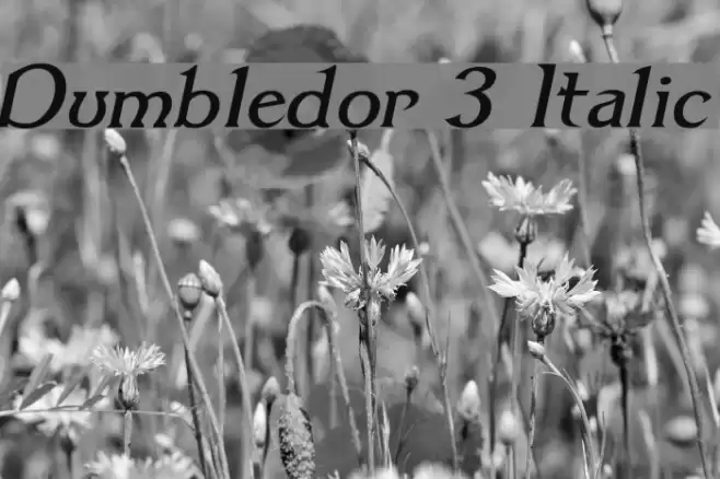 Dumbledor 3 Italic Font examples