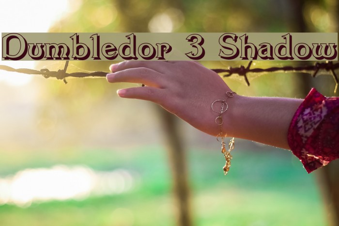 Dumbledor 3 Shadow Fonte examples