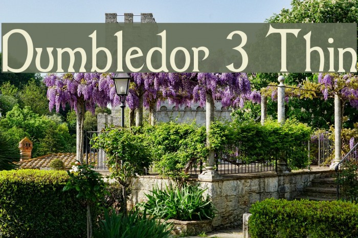 Dumbledor 3 Thin Font examples