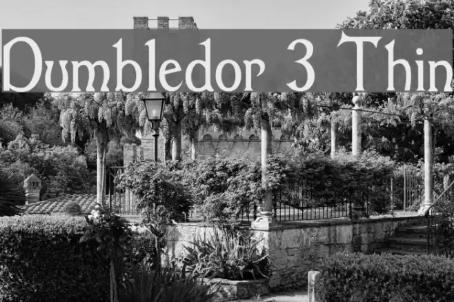Dumbledor 3 Thin フォント examples