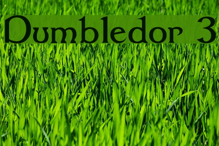 Dumbledor 3 फ़ॉन्ट examples