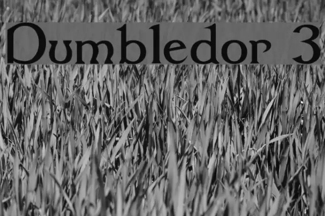 Dumbledor 3 Font examples