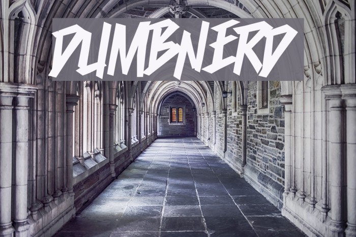 Dumbnerd Font examples