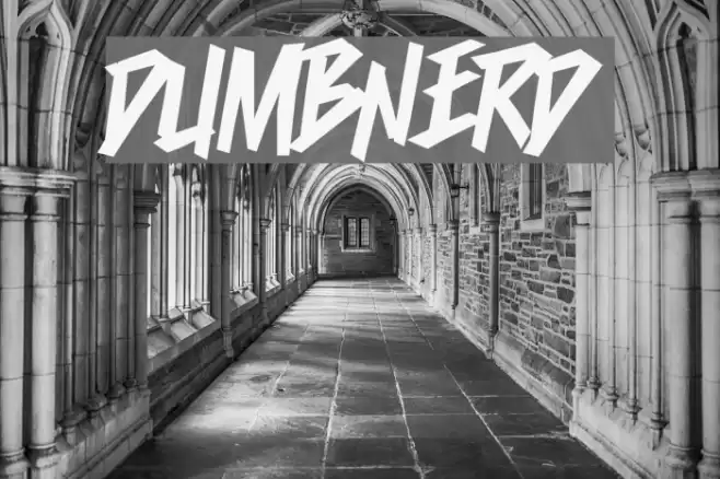 Dumbnerd Font examples