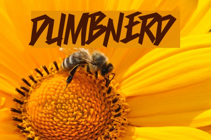 Dumbnerd Font examples