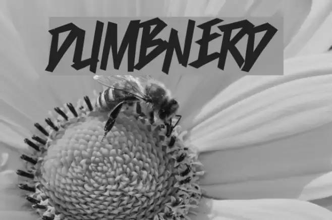 Dumbnerd Font examples