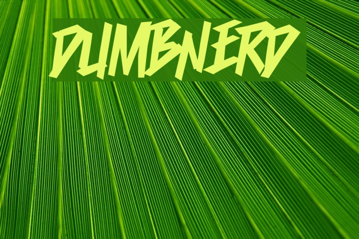 Dumbnerd Font examples