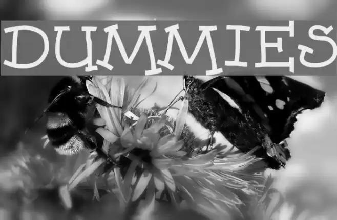 Dummies Font examples