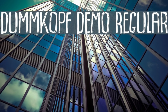Dummkopf DEMO Regular Example 1