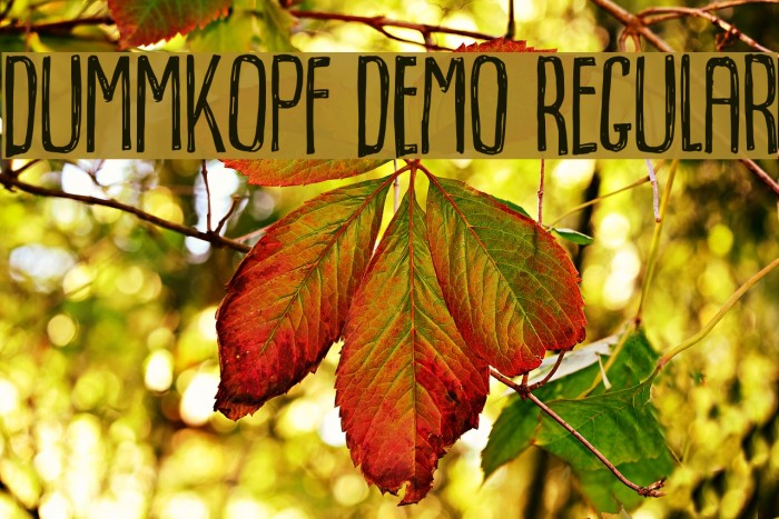 Dummkopf DEMO Regular Example 2