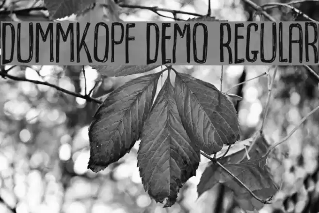 Dummkopf DEMO Regular Font examples