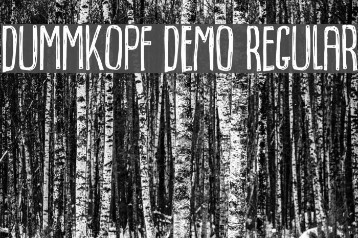 Dummkopf DEMO Regular Example 3