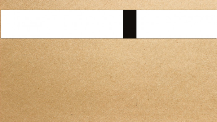 Dummy Text Example 2