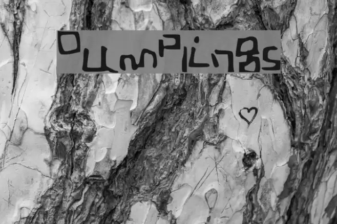 Dumplings Font examples