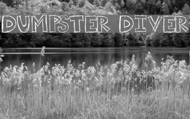 Dumpster Diver Font examples