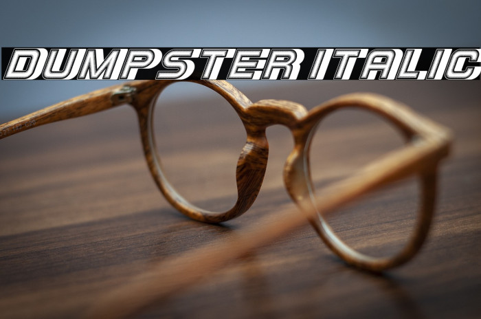 Dumpster Italic Example 1