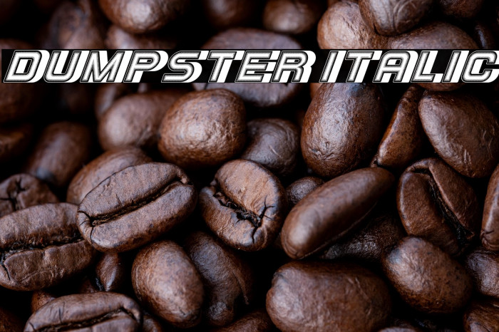 Dumpster Italic Example 2