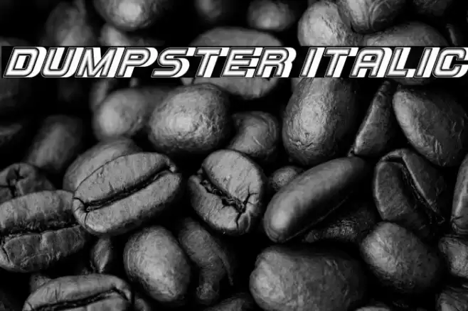 Dumpster Italic Font examples