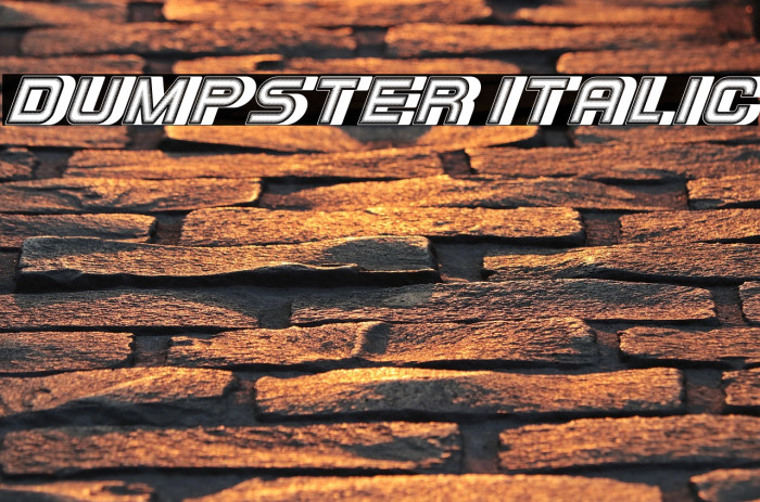 Dumpster Italic Example 3