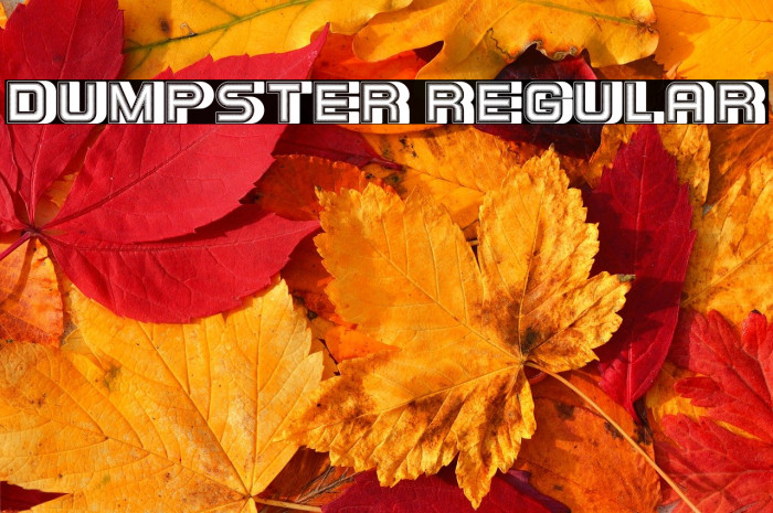 Dumpster Regular Example 1