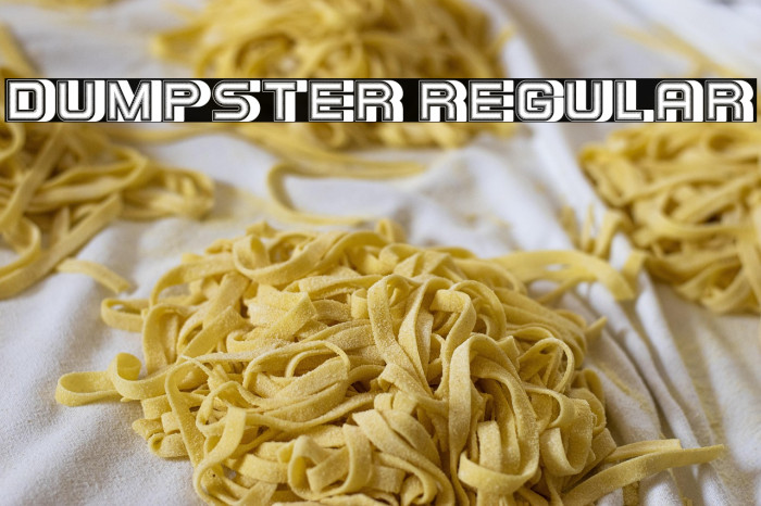 Dumpster Regular Example 2