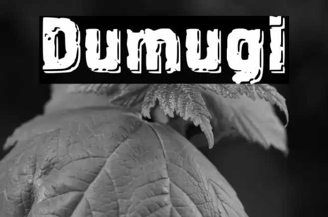 Dumugi Font examples
