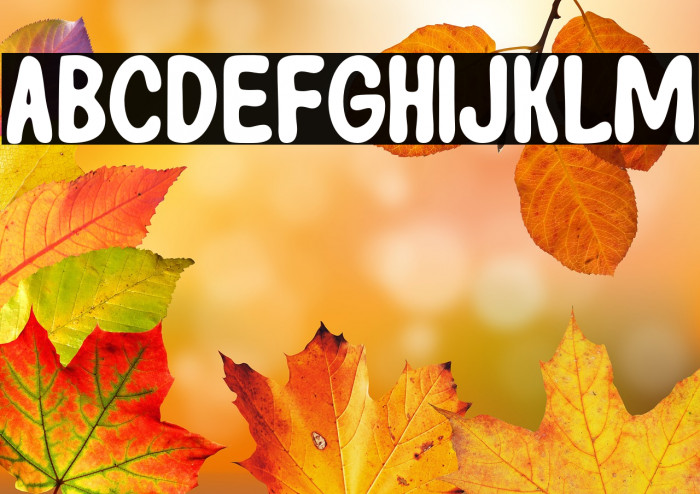 DuncasterDEMO-Regular Example 2