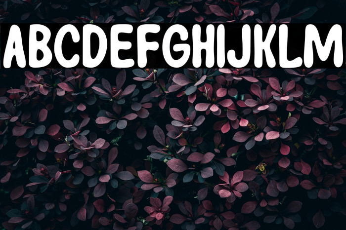 DuncasterDEMO-Regular Example 3