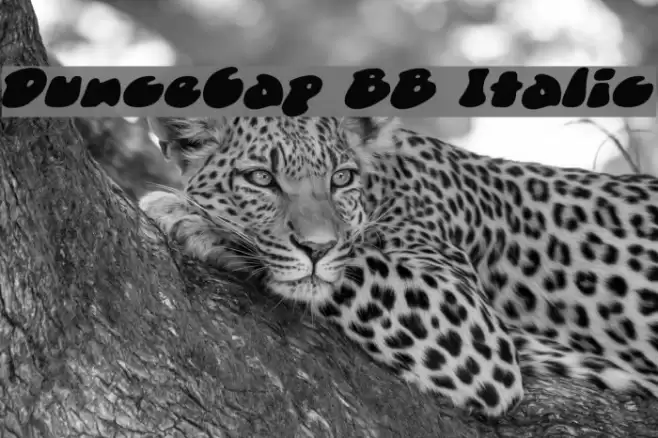 DunceCap BB Italic Font examples