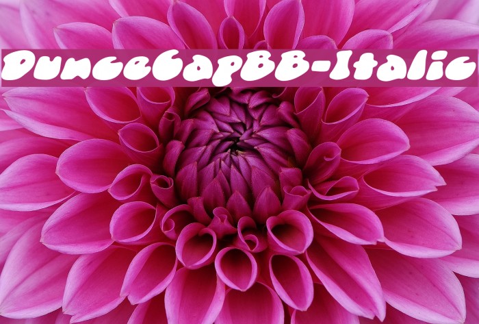 DunceCapBB-Italic Font examples